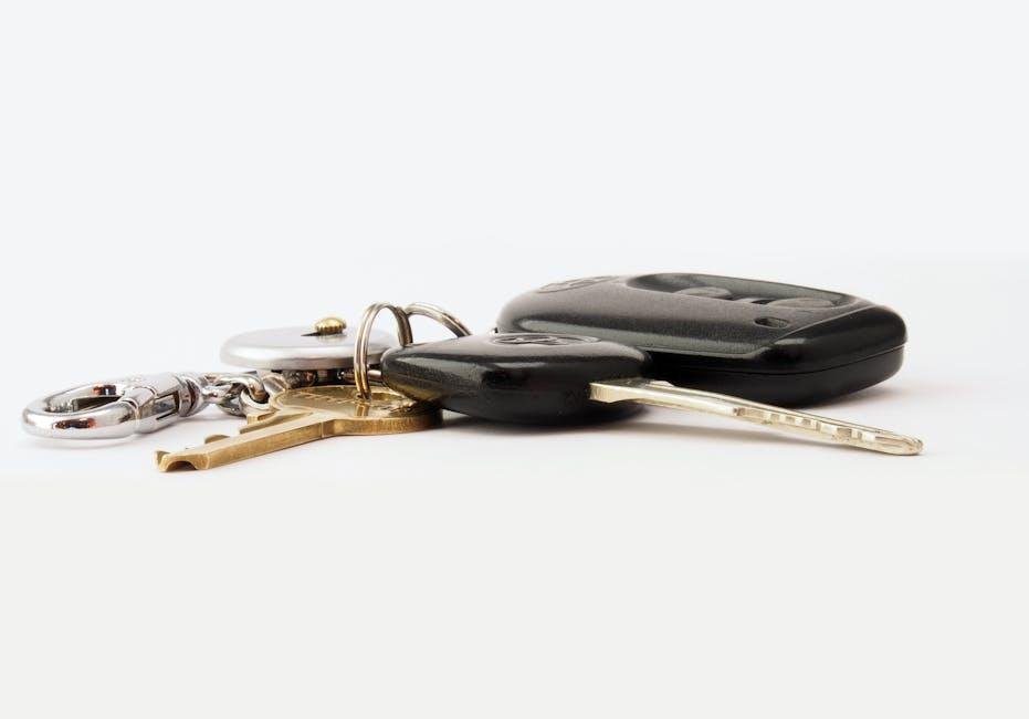 Exploring Essential Accessories and Upgrades
