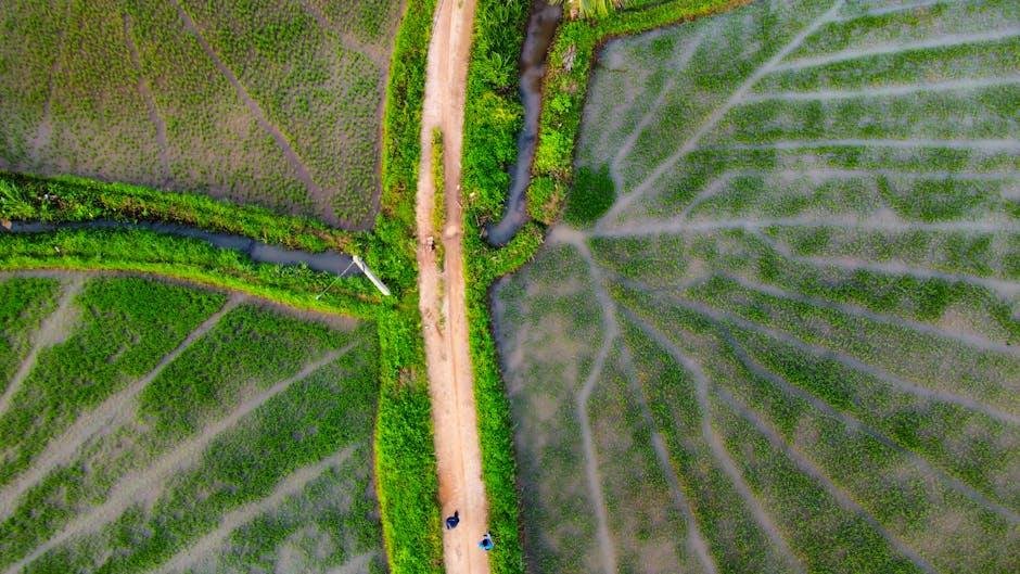 Evaluating Environmental Impact: Which Option is Greener?